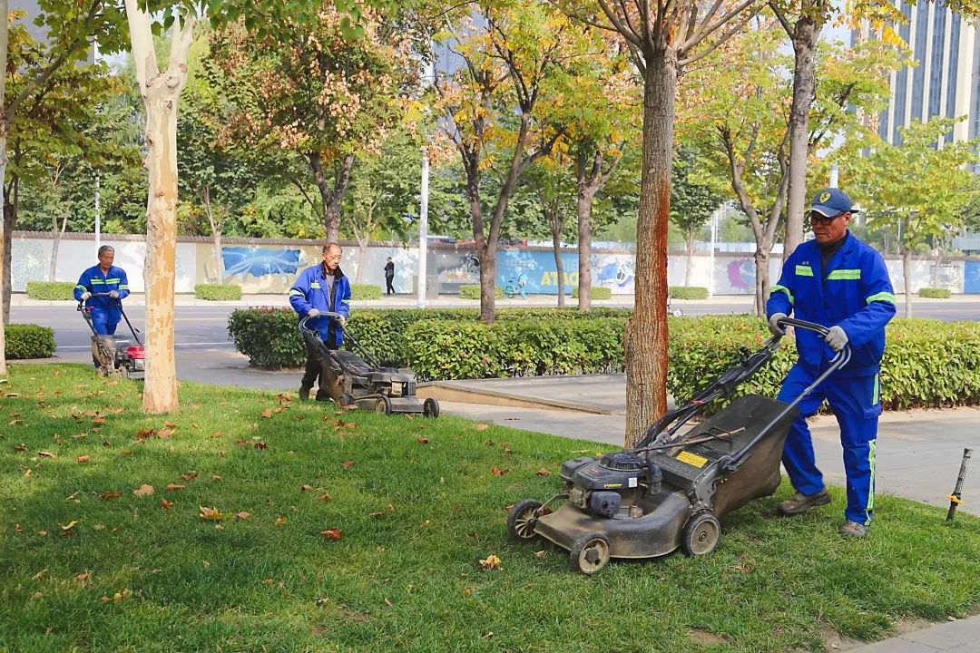 园林绿化养护草坪修剪养护